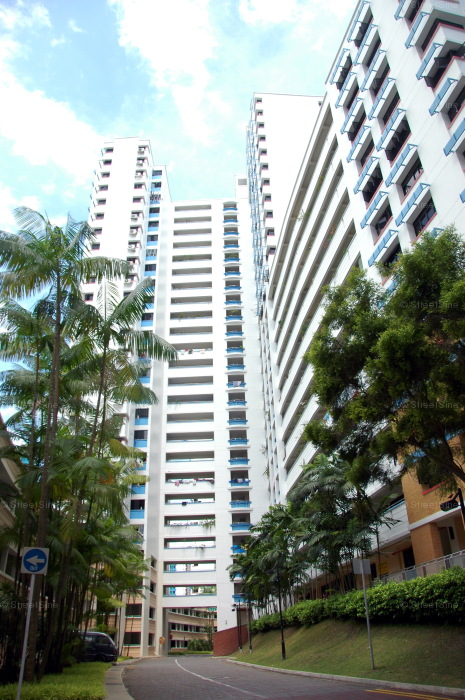 Blk 537 Bukit Panjang Ring Road (Bukit Panjang), HDB 4 Rooms #224842
